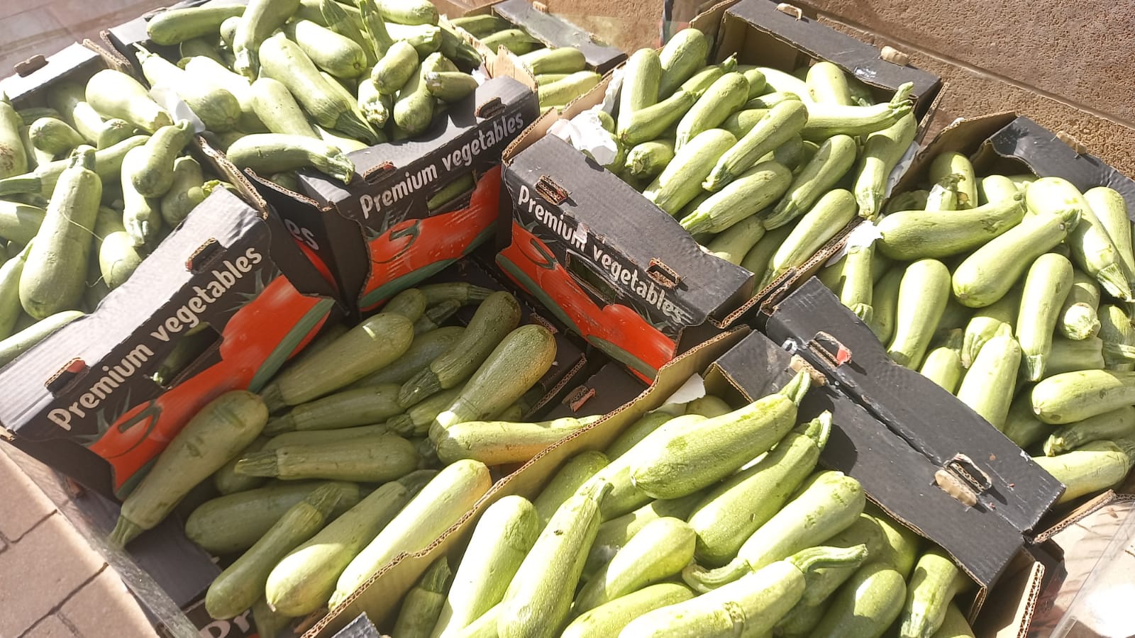 WhatsApp Image 2021-05-04 at 9.10.25 AM.jpeg